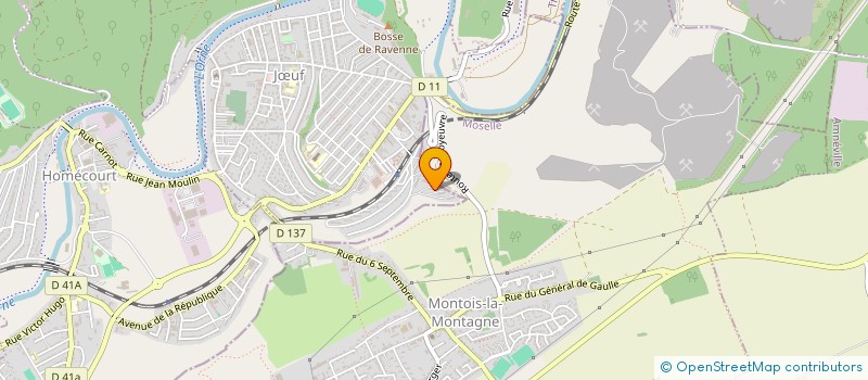 localisation de l'entreprise ASSOCIATION DES ARTISTES ET ARTISANS AMATEURS DE JOEUF ET ENVIRONS  JUF