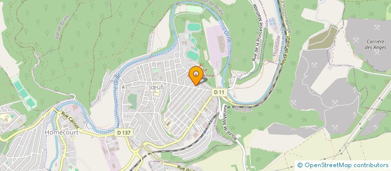 localisation de l'entreprise ASSOCIATION DES CHATS DES RUES DE LA LORRAINE à JŒUF