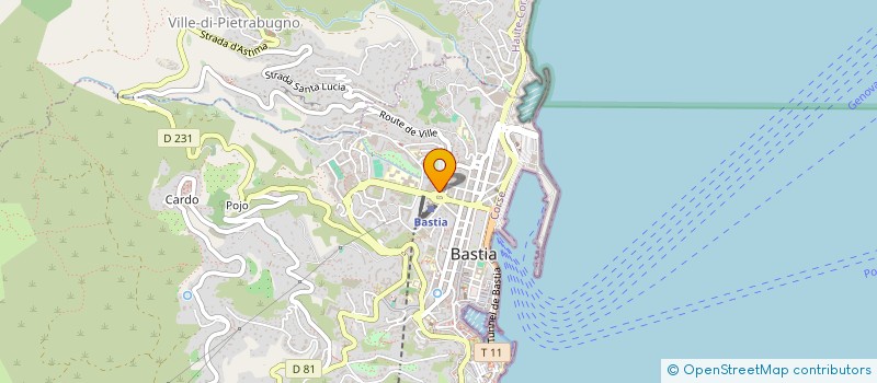 localisation de l'entreprise ASSOCIATION DES CHERCHEURS EN SCIENCES HUMAINES (DOMAINE CORSE)  BASTIA