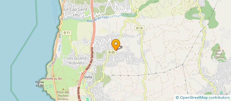 localisation de l'entreprise ASSOCIATION DES COPROPRIETAIRES DU LOTISSEMENT FLEUR DE CANNE à SAINT-LEU