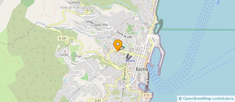 localisation de l'entreprise ASSOCIATION DES COPROPRIETAIRES DU PALIS MEDICIS à BASTIA