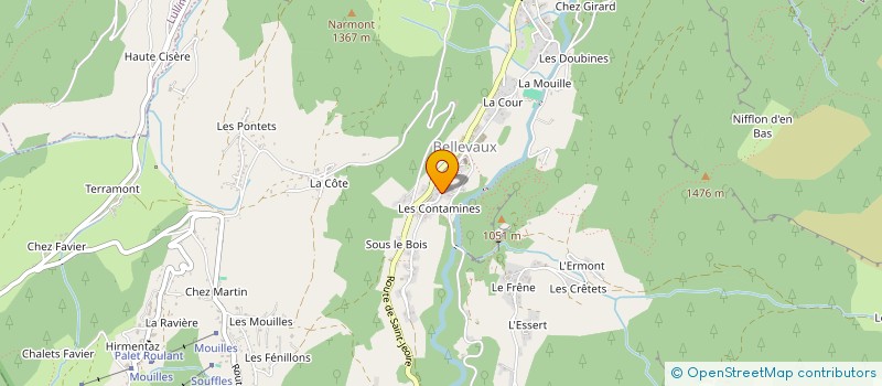 localisation de l'entreprise ASSOCIATION DES DONNEURS DE SANG BENEVOLES DE BELLEVAUX  BELLEVAUX