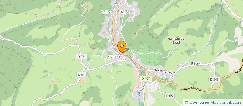 localisation de l'entreprise ASSOCIATION DES FAUBOURGS DE SALINS-LES-BAINS  SALINS-LES-BAINS