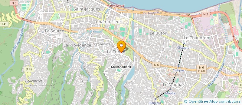 localisation de l'entreprise ASSOCIATION DES FEMMES MAHORAISES DE MONTGAILLARD à SAINT-DENIS