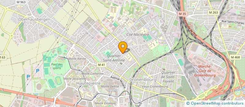 localisation de l'entreprise ASSOCIATION DES GOLFEURS DE LA JEUNESSE ET DES SPORTS ET DE L'EDUCATION PHYSIQUE D'ALSACE à STRASBOURG