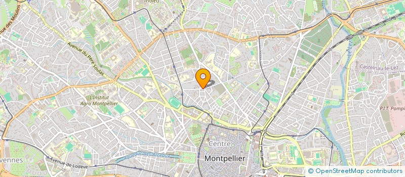 localisation de l'entreprise ASSOCIATION DES GUINEENS DE MONTPELLIER à MONTPELLIER