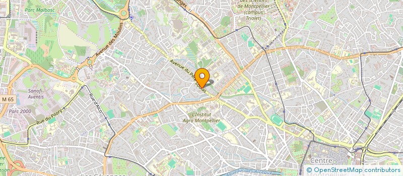 localisation de l'entreprise ASSOCIATION DES INFIRMIERS DE BLOC OPERATOIRE OCCITANIE MEDITERRANEE à MONTPELLIER
