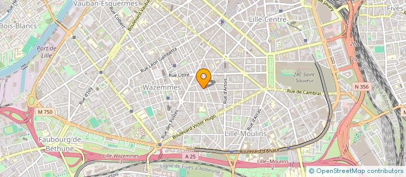 localisation de l'entreprise ASSOCIATION DES JEUNES GUINEENS DYNAMIQUE POUR LE DEVELOPPEMENT SOCIAL à LILLE