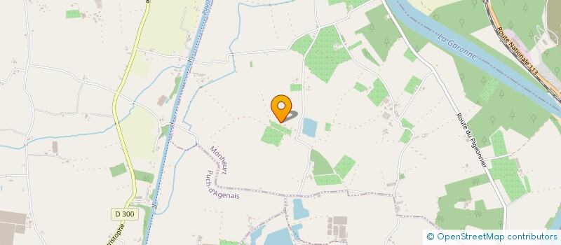 localisation de l'entreprise ASSOCIATION DES MUSULMANS DE BUZET SUR BAISE  BUZET-SUR-BAISE