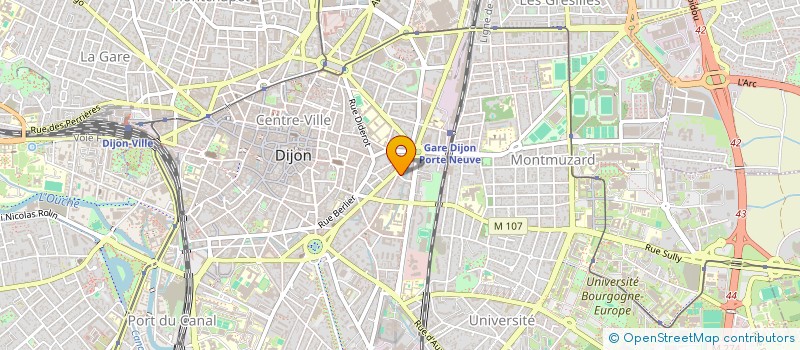 localisation de l'entreprise ASSOCIATION DES PARENTS D'ELEVES DE L'ENSEIGNEMENT LIBRE DE L'ECOLE MATERNELLE ET PRIMAIRE SAINT JOSEPH A DIJON (APEL DU  DIJON