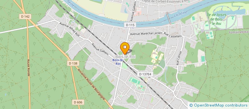 localisation de l'entreprise ASSOCIATION DES PARENTS D'ELEVES DE L'ENSEIGNEMENT PUBLIC DE BOIS LE ROI  BOIS-LE-ROI