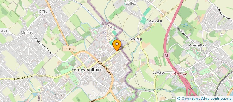 localisation de l'entreprise ASSOCIATION DES PARENTS D'ELEVES DE LA SECTION ESPAGNOLE DES LYCEES ET COLLEGE INTERNATIONAUX DE FERNEY-VOLTAIRE à FERNEY-VOLTAIRE