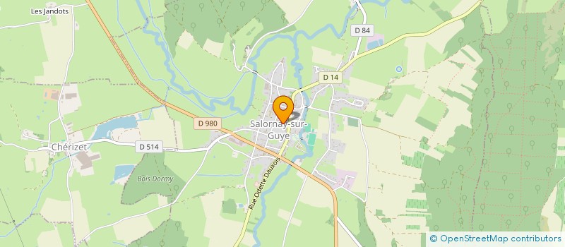 localisation de l'entreprise ASSOCIATION DES PARENTS D'ELEVES DE SALORNAY SUR GUYE  SALORNAY-SUR-GUYE