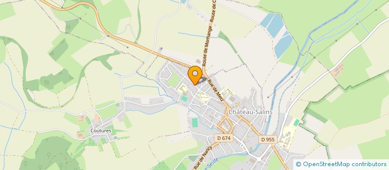 localisation de l'entreprise ASSOCIATION DES PARENTS D'ELEVES DES ECOLES ELEMENTAIRES ANDRE ROUYER ET MATERNELLE LES COQUELICOTS  CHATEAU-SALINS