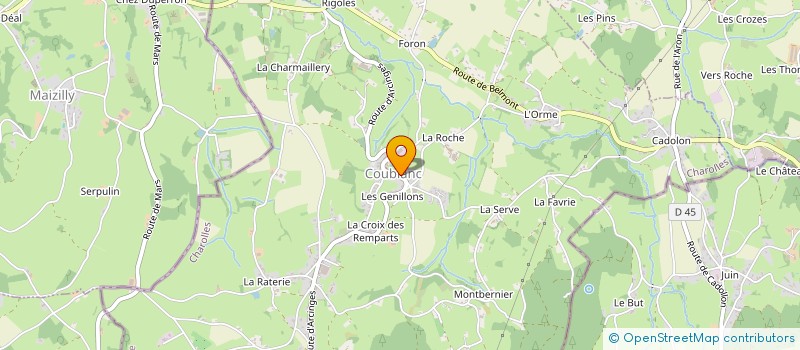 localisation de l'entreprise ASSOCIATION DES PARENTS D'ELEVES DES ECOLES PRIMAIRES DE COUBLANC  COUBLANC