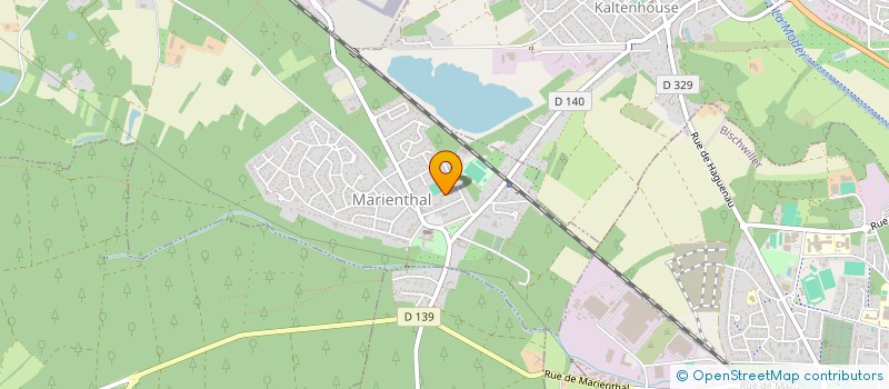 localisation de l'entreprise ASSOCIATION DES PARENTS D ELEVES LES LUPINS  HAGUENAU