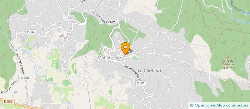 localisation de l'entreprise ASSOCIATION DES PARENTS D'ELEVES LES PETITS PAGNOL DE MONTAUROUX  MONTAUROUX