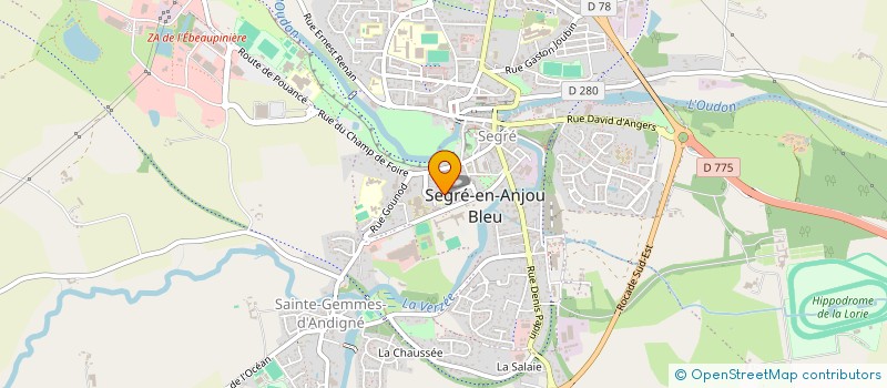 localisation de l'entreprise ASSOCIATION DES PARENTS D'ELEVES LES PETITS ROSSIGNOLS  SEGRE-EN-ANJOU BLEU