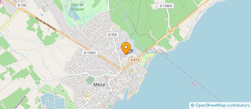 localisation de l'entreprise ASSOCIATION DES PENSIONNES DE LA MARINE DU BASSIN DE THAU LANGUEDOC ROUSSILLON à MEZE