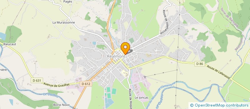 localisation de l'entreprise ASSOCIATION DES PROFESSIONNELS DE SANTE DU REALMONTAIS ET DU MONTREDONNAIS à REALMONT