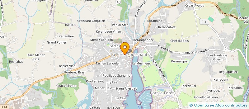 localisation de l'entreprise ASSOCIATION DES PROFESSIONNELS DE SANTE LIBERAUX DE LA FORET FOUESNANT  LA FORET-FOUESNANT