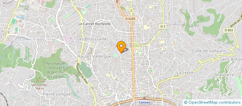 localisation de l'entreprise ASSOCIATION DES PSYCHOLOGUES DU TRAVAIL ET DES ORGANISATIONS DE LA REGION PACA à CANNES