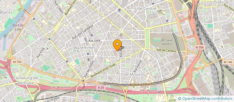 localisation de l'entreprise ASSOCIATION DES RESSORTISSANTS DE MAMOU DU NORD à LILLE