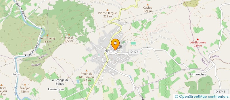 localisation de l'entreprise ASSOCIATION DES SENIORS DES NEUF-FIEFS  NEFFIES