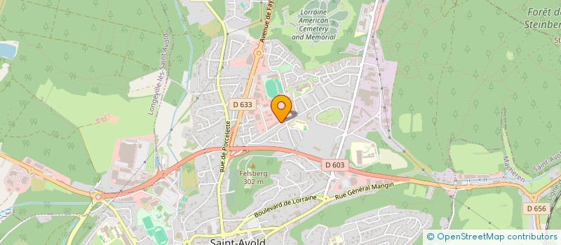 localisation de l'entreprise ASSOCIATION DES SOUS-OFFICIERS DE RESERVE DE ST-AVOLD ET ENVIRONS  ST AVOLD