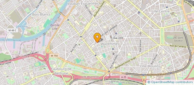 localisation de l'entreprise ASSOCIATION DES TRIPORTEURS A CARTOUCHE à LILLE
