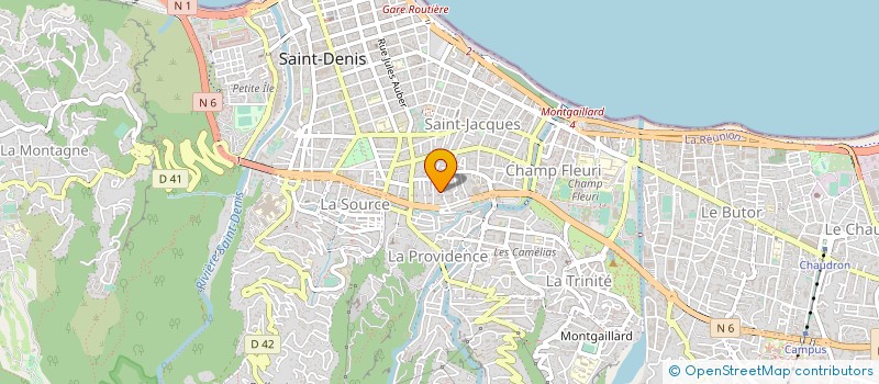 localisation de l'entreprise ASSOCIATION DES VEUVES DE GUERRE ET PUPILLES DE LA NATION DE LA REUNION à SAINT-DENIS