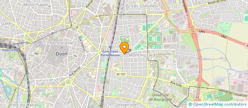 localisation de l'entreprise ASSOCIATION DIFFUSION CINEMATOGRAPHIQUE à DIJON