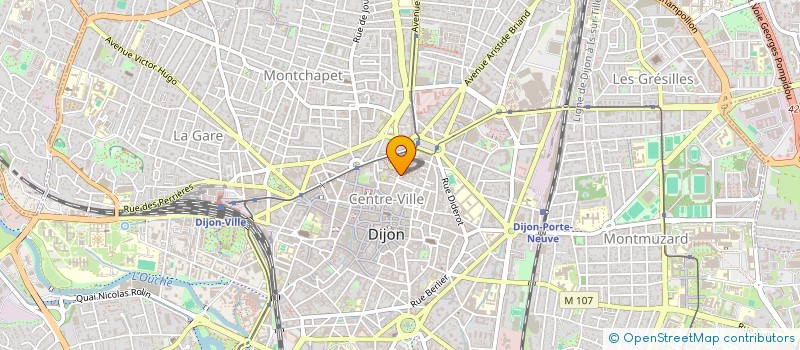 localisation de l'entreprise ASSOCIATION DIJONNAISE POUR LA PROMOTION DE LA PEDIATRIE  DIJON