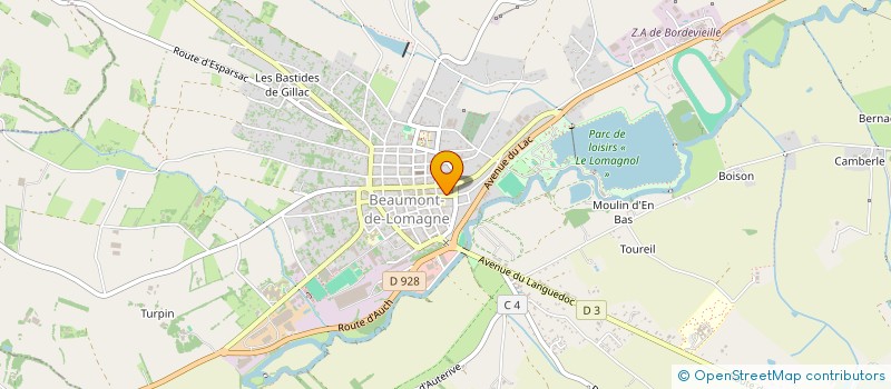 localisation de l'entreprise ASSOCIATION DISCO NICO  BEAUMONT-DE-LOMAGNE