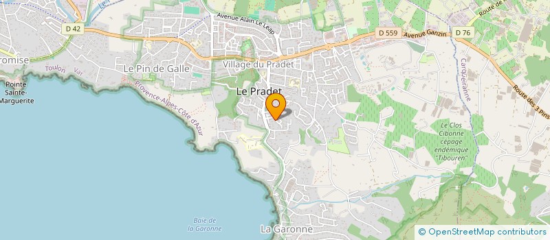 localisation de l'entreprise ASSOCIATION DIVERTY CHIEN  LE PRADET