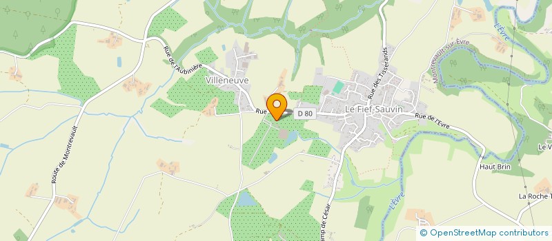 localisation de l'entreprise ASSOCIATION DU CENTRE SOCIAL à BEAUPREAU-EN-MAUGES