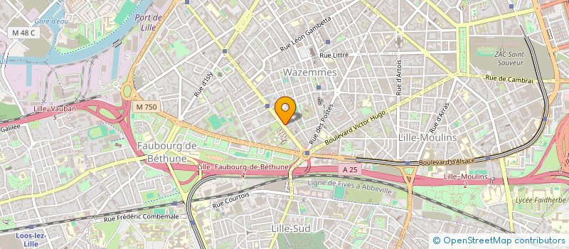 localisation de l'entreprise ASSOCIATION DU KAMELEON  LILLE