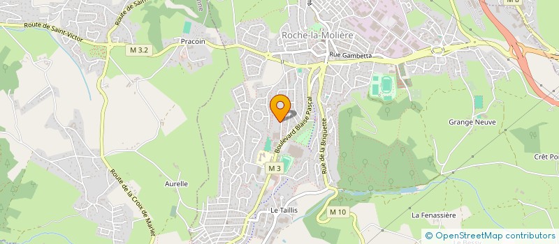 localisation de l'entreprise ASSOCIATION DYNAMIQUE ET SPORTIVE ROUCHONNE  ROCHE-LA-MOLIERE