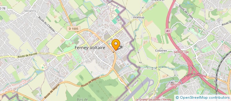 localisation de l'entreprise ASSOCIATION EMPLOI ET FORMATION SANS FRONTIERE - EFSF à FERNEY-VOLTAIRE