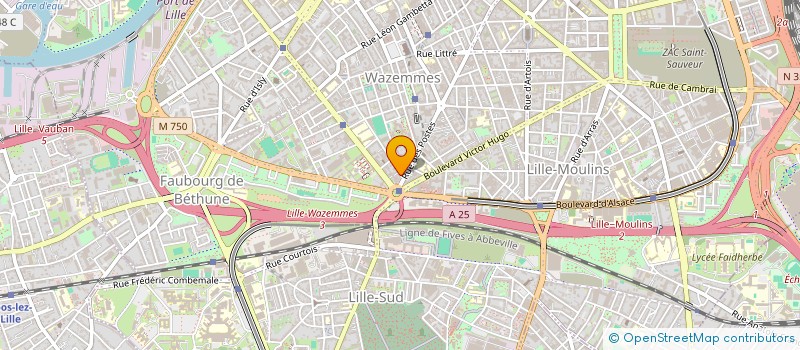 localisation de l'entreprise ASSOCIATION ENTRAIDE WAZEMMES à LILLE