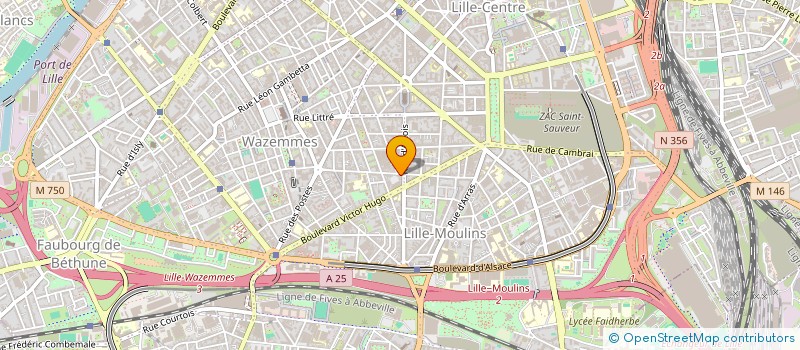 localisation de l'entreprise ASSOCIATION ESOME, CREATRICES ET CREATEURS D'IMAGES à LILLE