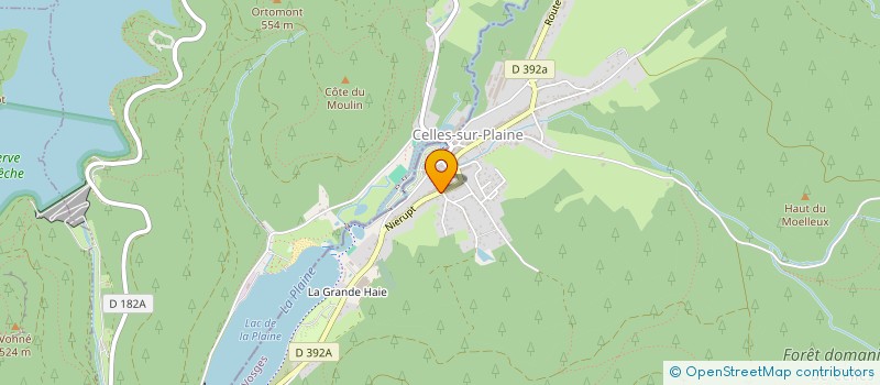 localisation de l'entreprise ASSOCIATION FAMILIALE  CELLES-SUR-PLAINE