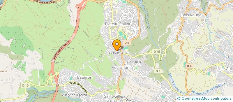 localisation de l'entreprise ASSOCIATION FLEURIE à SAINT-PAUL