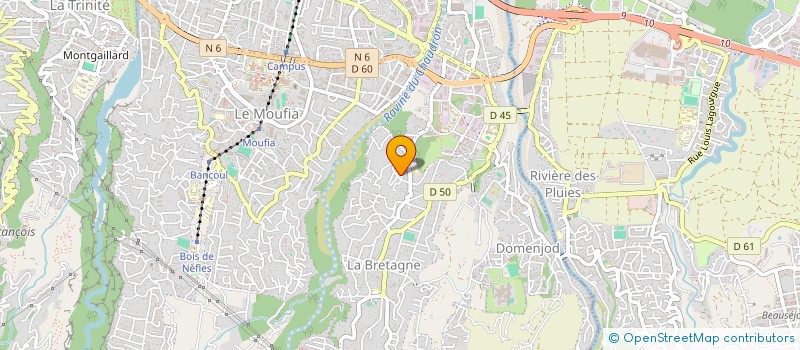 localisation de l'entreprise ASSOCIATION FLEURS DES CHAMPS à SAINT-DENIS