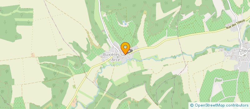 localisation de l'entreprise ASSOCIATION FONCIERE BUXIERES SUR ARCE  BUXIERES-SUR-ARCE