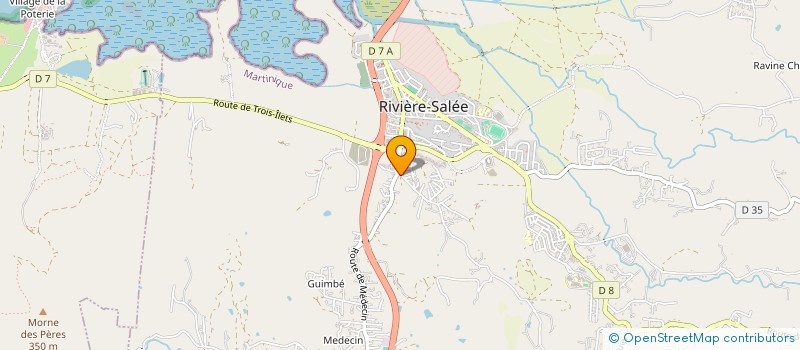 localisation de l'entreprise ASSOCIATION  GROUPE LAUGIER  RIVIERE-SALEE