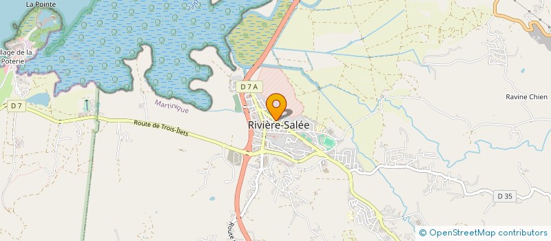 localisation de l'entreprise ASSOCIATION HARMONIE  ET CREATIVITE DE RIVIERE SALEE  RIVIERE-SALEE