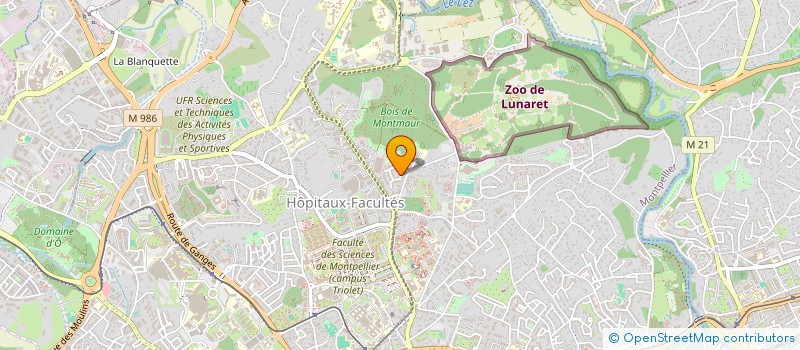 localisation de l'entreprise ASSOCIATION ICI ET MAINTENANT à MONTPELLIER