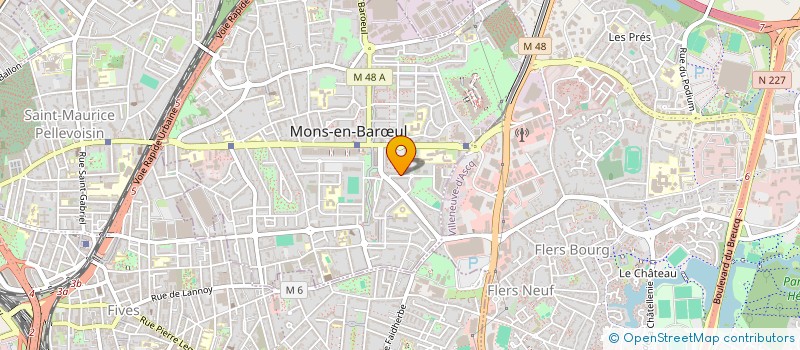 localisation de l'entreprise ASSOCIATION INTERCULTURELLE DE MONS  MONS-EN-BARUL