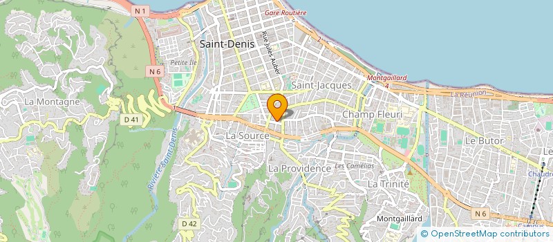 localisation de l'entreprise ASSOCIATION JEUNESSE DES CAMELIAS à SAINT DENIS